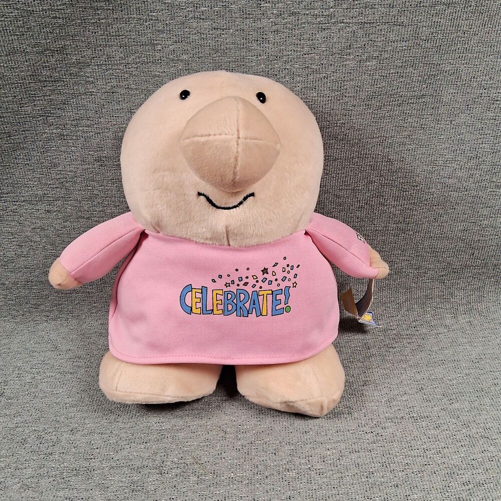 2002 Kellytoy Ziggy Celebrate Pink Shirt Plush Stuffed Animal Toy VTG